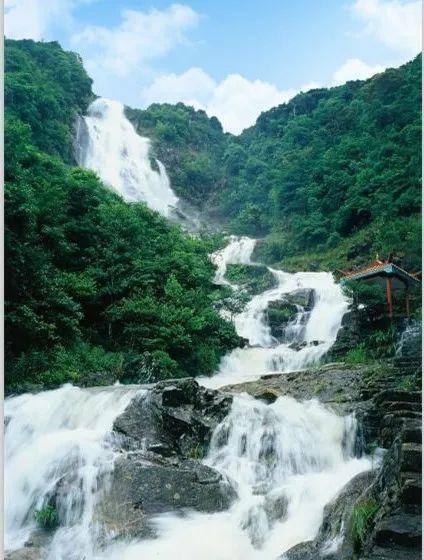 篮球大师